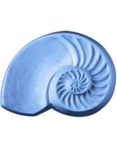 Nature Chambered Nautilus Soap Mold