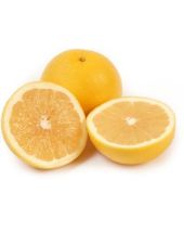 Grapefruit White Essential Oil